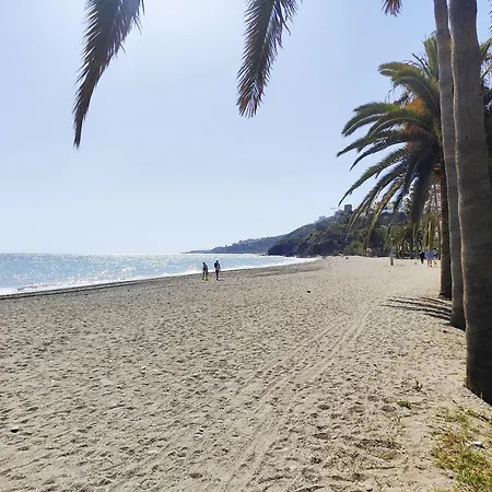 Ap396 - Playazo *